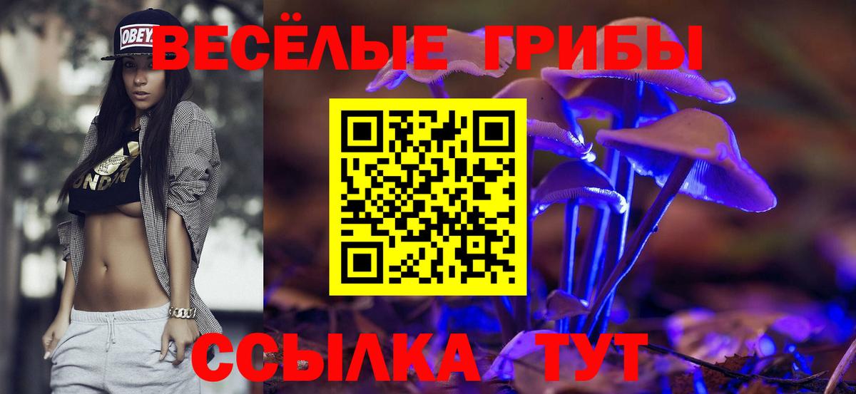 магазин продажи наркотиков  Псилоцибиновые грибы GOLDEN TEACHER  Вход с VPN  Магнитогорск 